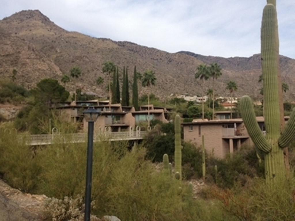 Mission Hills Casitas By Arizona Housing Solutions - Pv8 Villa Oro Valley Room photo